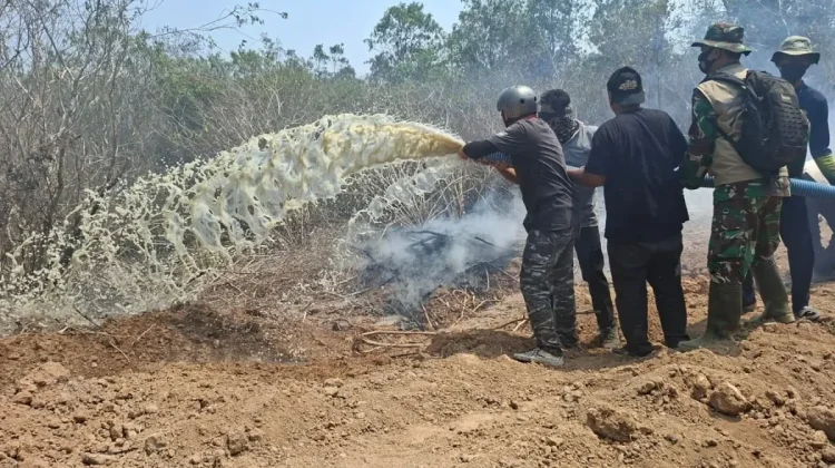 Way Kambas Fires Extinguished with Sumatran Elephants Confirmed Safe