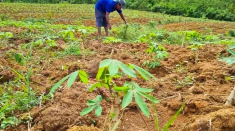 Muara Enim Projected to Become Bioethanol Industry Hub