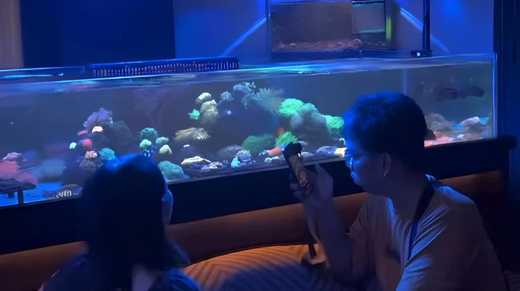 Indonesian Reefer's Coral Studio Offers Underwater Tourism Experience