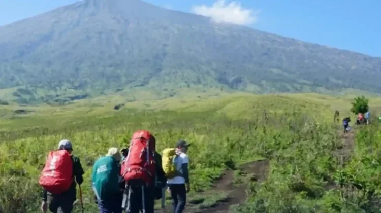 Mount Rinjani Senaru Trail Reopens After Forest Fire Closure