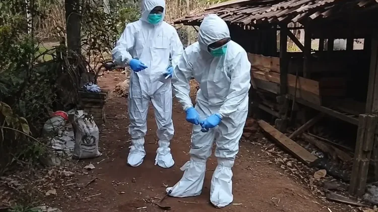 Indonesia Steps Up Anthrax Control in Gunungkidul After Confirmed Outbreak