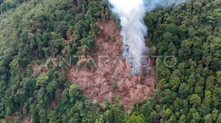 Indonesian Environmental Law Revision Needs Indigenous Peoples' Input ...