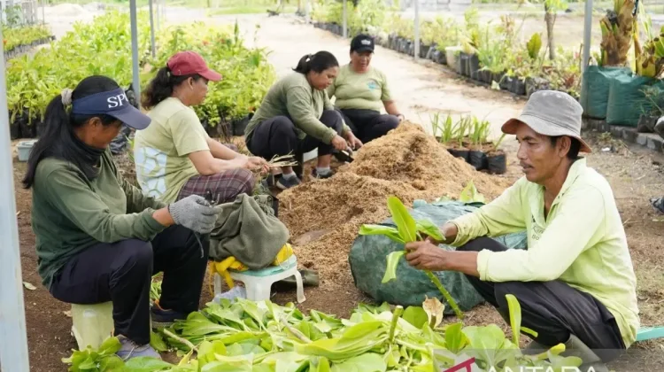 Kura Kura SEZ Cultivates 83 Plant Species to Boost Bali’s Ecosystem ...