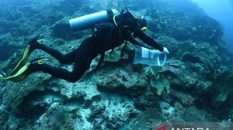 Maluku Surveys Lucipara Islands for Marine Conservation Planning - RRI ...
