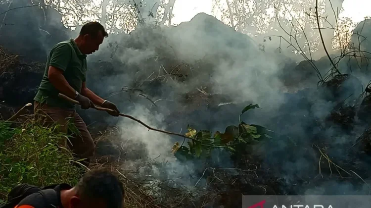 Water-Bombing Operation Deployed to Fight Mount Ciremai Fires - RRI.co.id