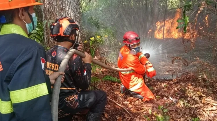 Comprehensive Measures Needed to Curb Forest and Land Fires - RRI.co.id