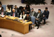 Sugiono Highlights Palestinian Situation at UN Security Council