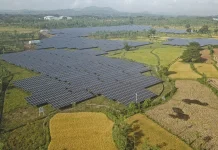 Indonesia Poised to Become Southeast Asia Renewable Energy Leader
