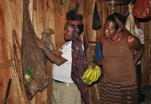 The Struggle to Maintain Papua's Noken as a Living Cultural Symbol