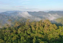 Govt Strengthens National Carbon Trading with New Regulation