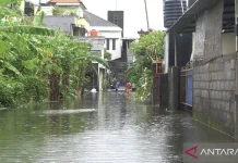 Bali Floods Trigger 76 Disasters and Mass Evacuations