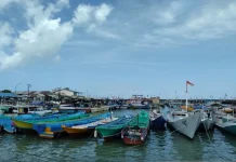 Govt Accelerates Fishermen’s Village Development in East Nusa Tenggara