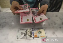 Rupiah Strengthens as Trump’s Firm Tariff Stance Triggers Dollar Retreat