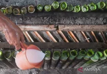 Lemang Bambu: Sticky Rice Grilled in Bamboo, a Ramadan Favorite in Aceh