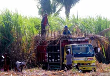 Govt Urged to Guard Against ART’s Impact on Domestic Agriculture