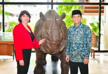Indonesia-UK Partnership Advances Elephant Conservation and Forest Finance