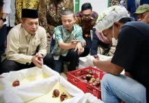 Subang Cooperative Exports Mangosteen to China With State Funding Support