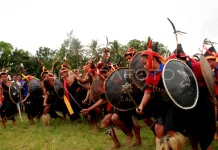 The Kataga Dance: From Tribal Warfare to Cultural Heritage in West Sumba