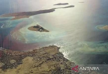 Strait of Hormuz Tensions Raise Global Oil Concerns, Jakarta Watches Closely