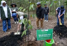 Wildlife Returns to Rehabilitated Forests in Indonesia’s New Capital