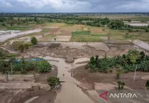 High Water Levels Hamper Efforts to Repair Demak’s Broken Levees