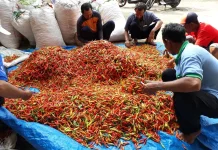 Agriculture Minister Highlights New Peak in Farmer's Exchange Rate in 2026