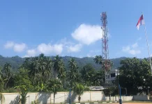Stable Telecom Ecosystem Crucial for 5G Development: Govt