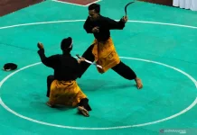 Pencak Silat and Cinema to Headline Indonesia-Kazakhstan Cultural Collaboration