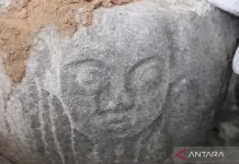 Megalithic Site Found in Dongi-Dongi Illegal Mining Area