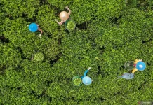 Unlocking Bandung’s "Hidden Gems" for Strategic Urban Healing
