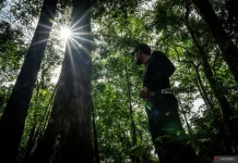 Indonesia Champions Tropical Forest Diplomacy at Nairobi FCLP Summit