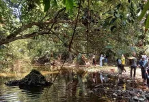 Indonesia Highlights Forest Diplomacy at 2026 Global Climate Forum