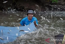 Sasi, Local Tradition Strengthens Fishery Welfare in Ambon