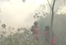 Ground Crews Battle Four Riau Wildfires Without Helis