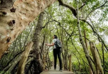 Govt. Strengthens Tourism Standards to Ensure Traveler Safety