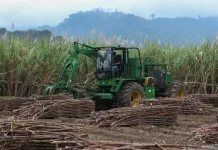 Industrial Strengthening Essential to Face Global Economic Dynamics: Lawmaker