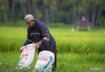 Middle East Conflict Triggers Global Surge in Fertilizer Demand