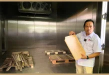 BRIN Introduces Lightweight Biomass Composite Roof Tiles for Safer Housing