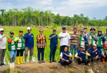 Komnas HAM Urges Protection of Indigenous Rights in Papua's "Cetak Sawah" Program