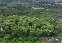 Martabe Gold Mine Sets Benchmark in Proactive Environmental Restoration