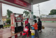Indonesia’s Petroleum Imports Not Solely from Middle East: Govt