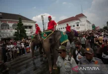 Yogyakarta Palace Confirms No Elephants for Grebeg Syawal 2026