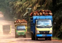 Govt Must Strengthen Diplomacy to Shield Exports from EUDR: Expert