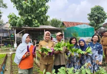 Indonesia Pushes for Food Self-Sufficiency Amid Global Crisis Risks