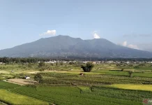 Mount Marapi Erupts 26 Seconds Amid Heavy Rain, Heightened Alert