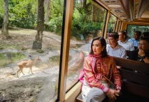 Bali Tourism Shows Positive Trend Amidst Global Issues