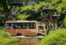 Bali Maintains Global Appeal  Strong Tourist Growth in 2026 Sudah ditulis misni