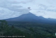 Mount Semeru Heightens Activity with Double Friday Morning Eruptions
