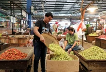 Indonesia’s Food Security Unaffected by Middle East Conflict, Minister Says
