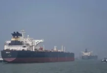 Strait of Hormuz Incident Spurs Calls for Energy Diversification: Lawmaker